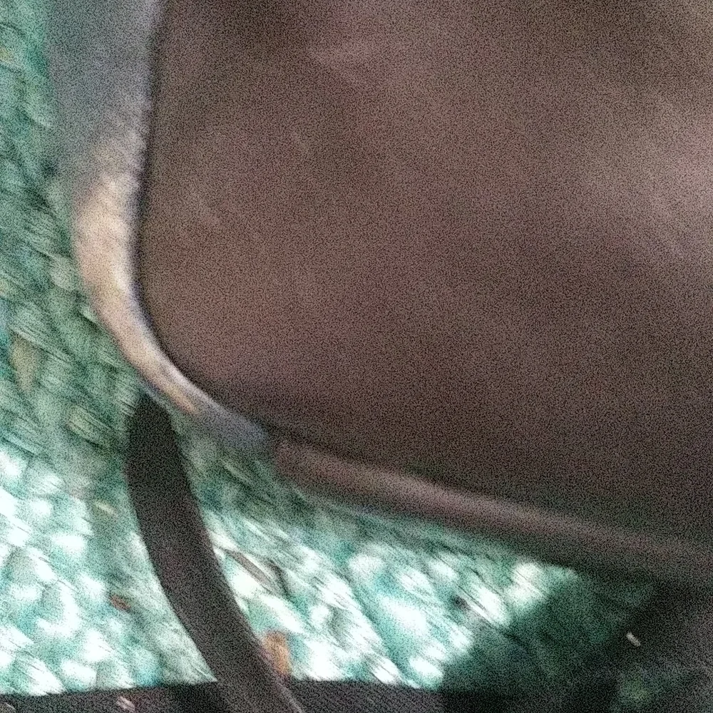 Genuine Leather Coach Backpack Blue with Black accents - Picture 3 of 4